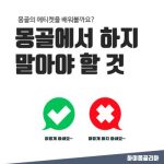 [몽골 문화]몽골에서 하지 말아야 할 것