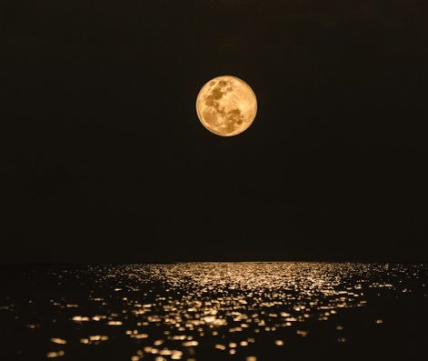 2026년 달 위상 달력 – 몽골 여행에 꼭 참고하세요!