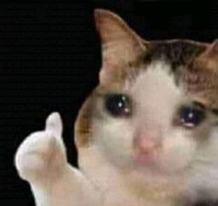 cat.jpg