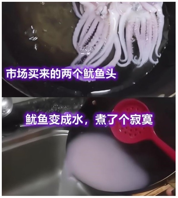 오징어.jpg